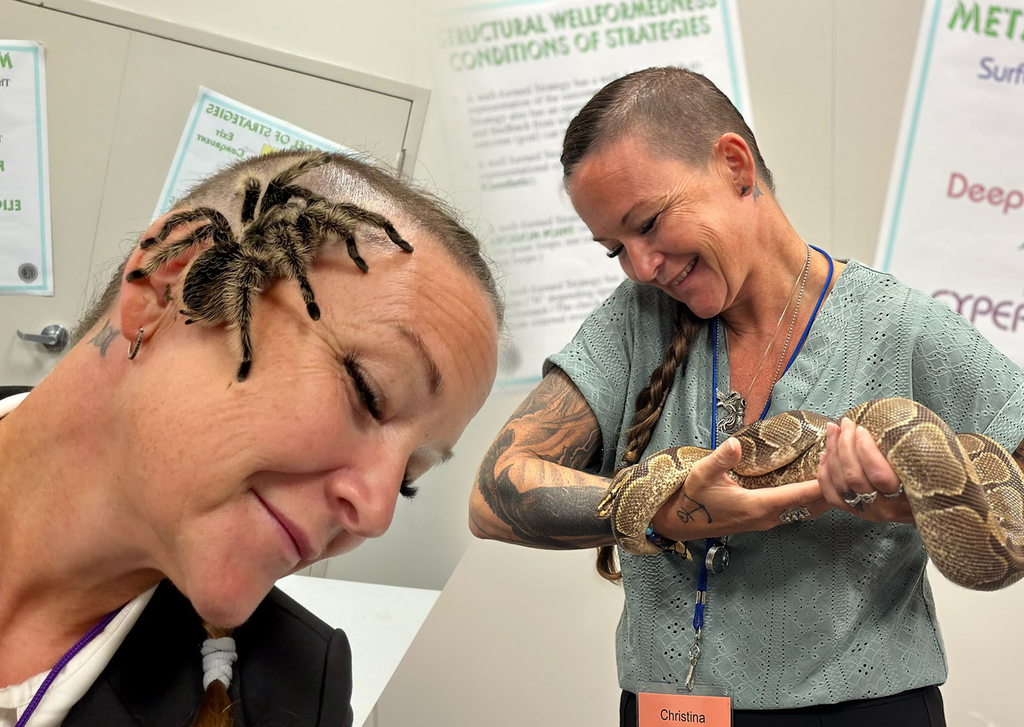 Here you can see me with Laila and Frankenstein, a snake and a spider  that I met in Florida 2025