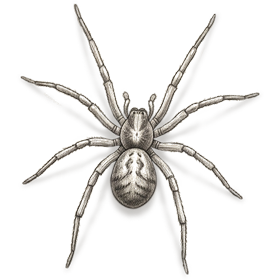 Break the Phobia